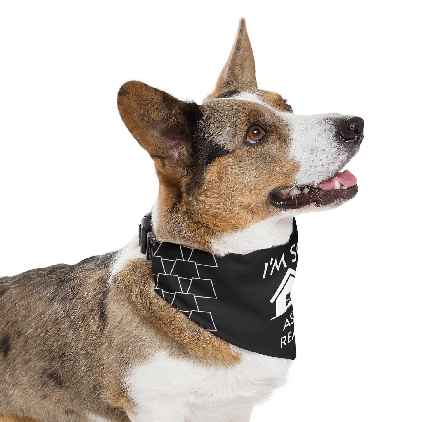 Personalized Pet Bandana Collar - I'M SOLD